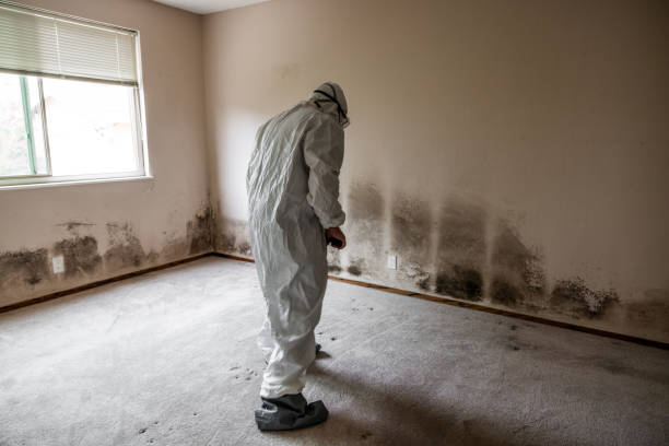 Best Crawl Space Mold Removal  in Lavalette, WV